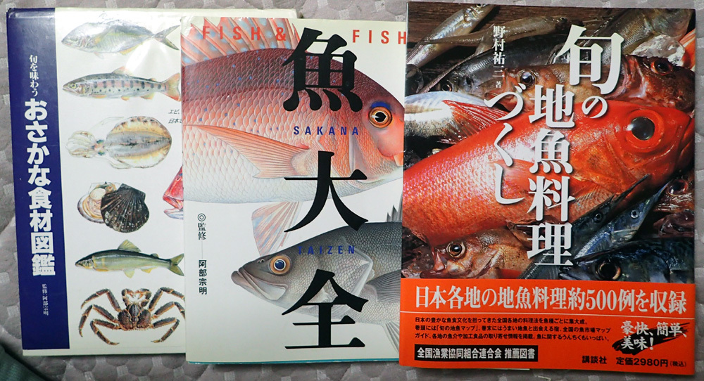 判りにくい イカの種類 19年5月日 月 釣り好き昌ちゃんの釣り日誌