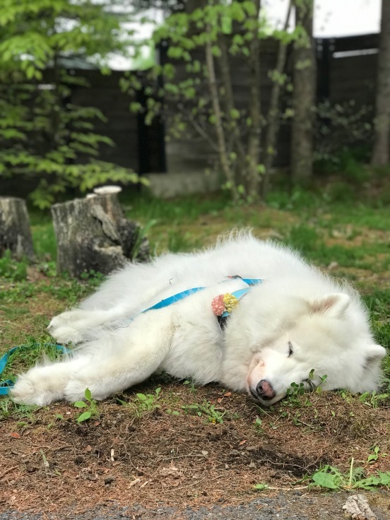 f0234023_06325347.jpeg
