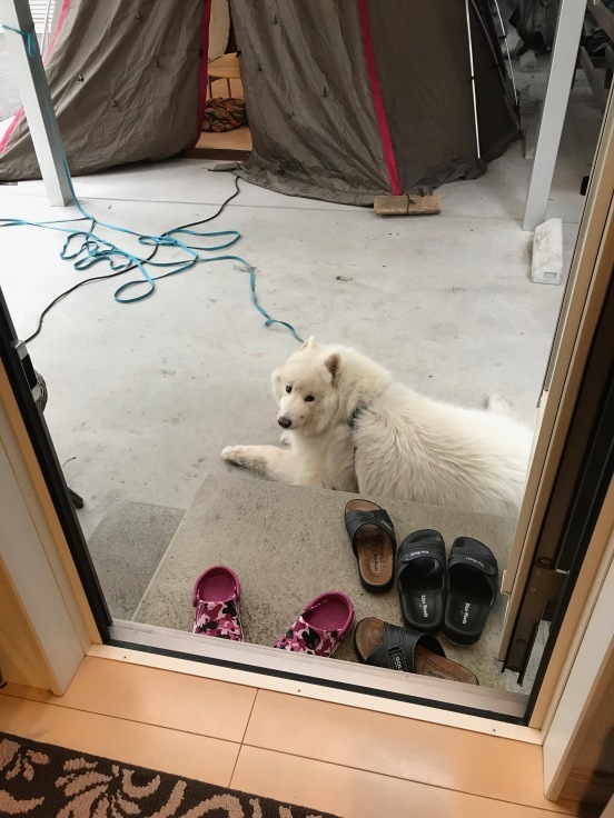 f0234023_06345152.jpeg