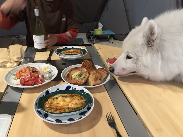 f0234023_06350069.jpeg