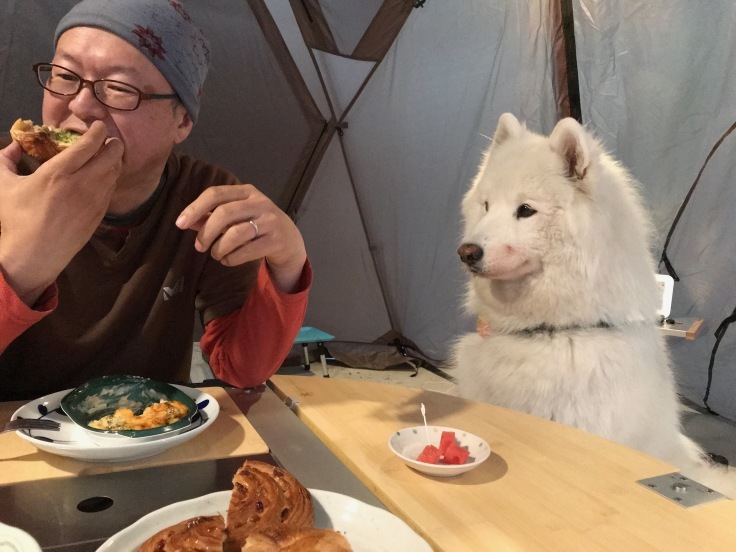 f0234023_06351842.jpeg