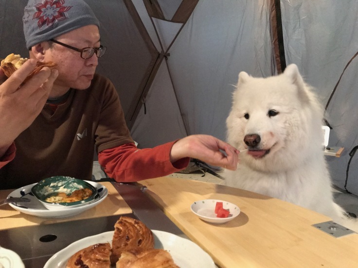 f0234023_06352421.jpeg