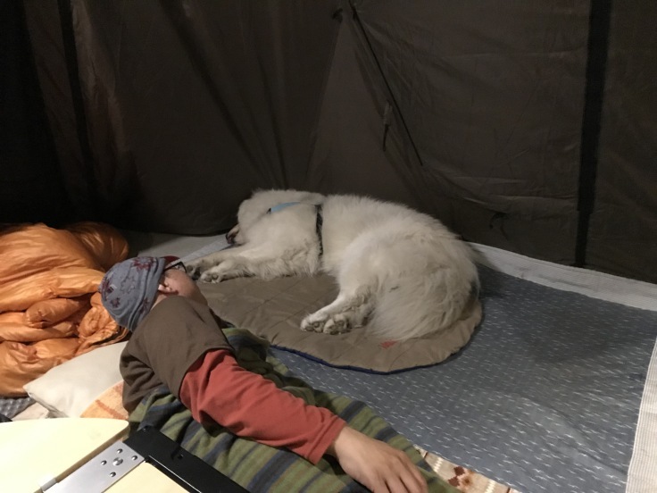 f0234023_06353451.jpeg