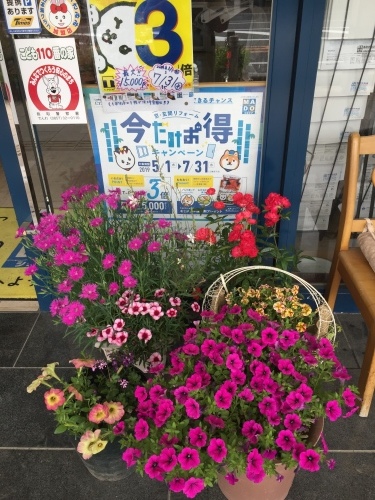 b0182530_10421958.jpeg