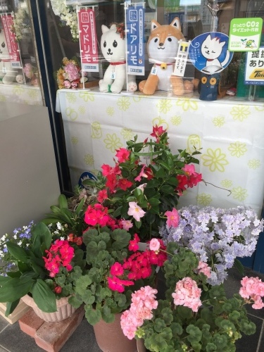 b0182530_10423461.jpeg