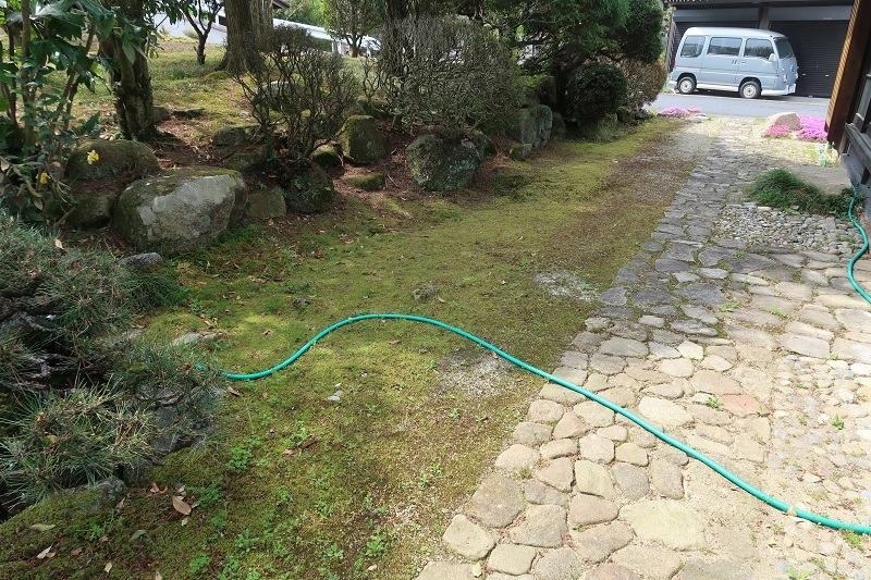 苔の実験とフォレスターの変遷_f0076731_20304428.jpg