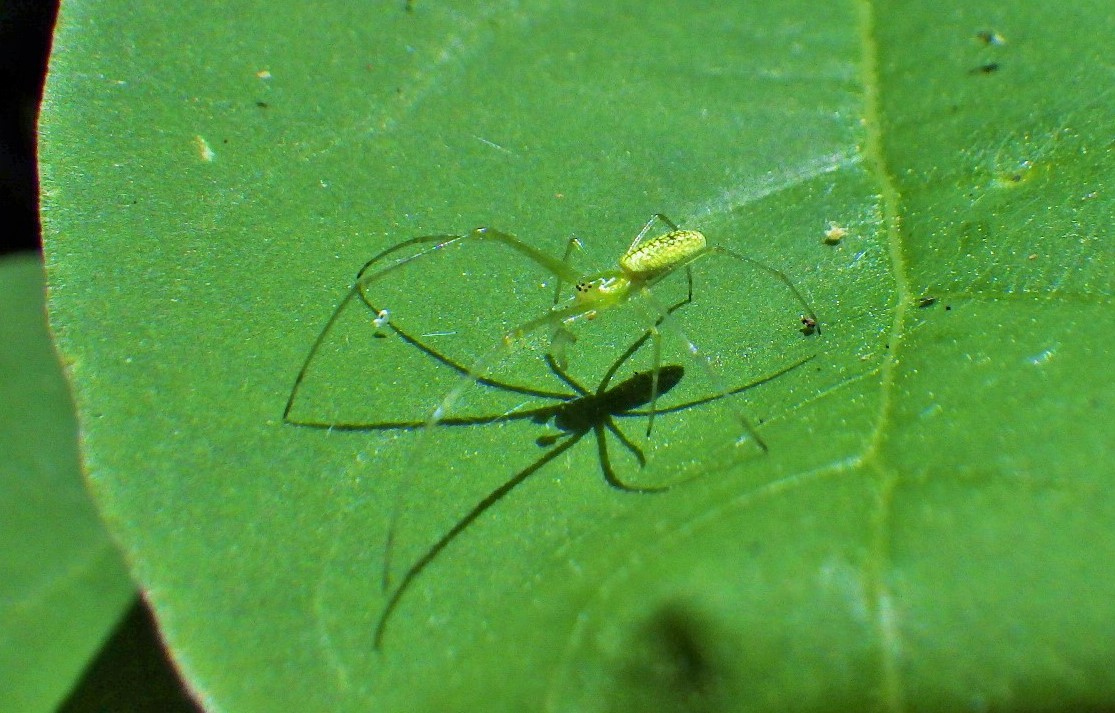 f0118332_22403670.jpg
