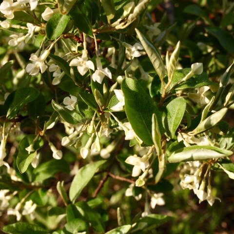 a0329935_05540817.jpeg
