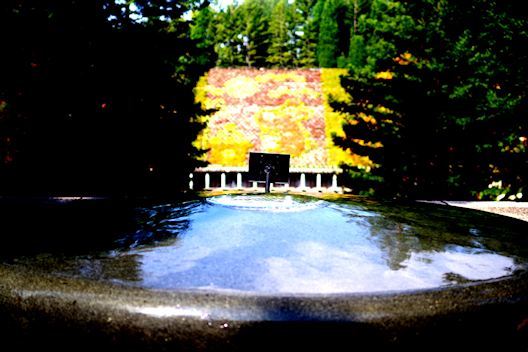 c0032138_16495580.jpg
