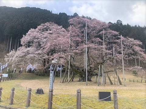 d0367842_13562715.jpg