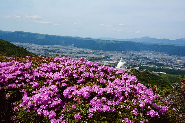 c0093243_11225450.jpg