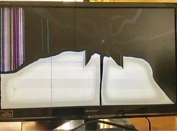 e0126350_17493733.jpg