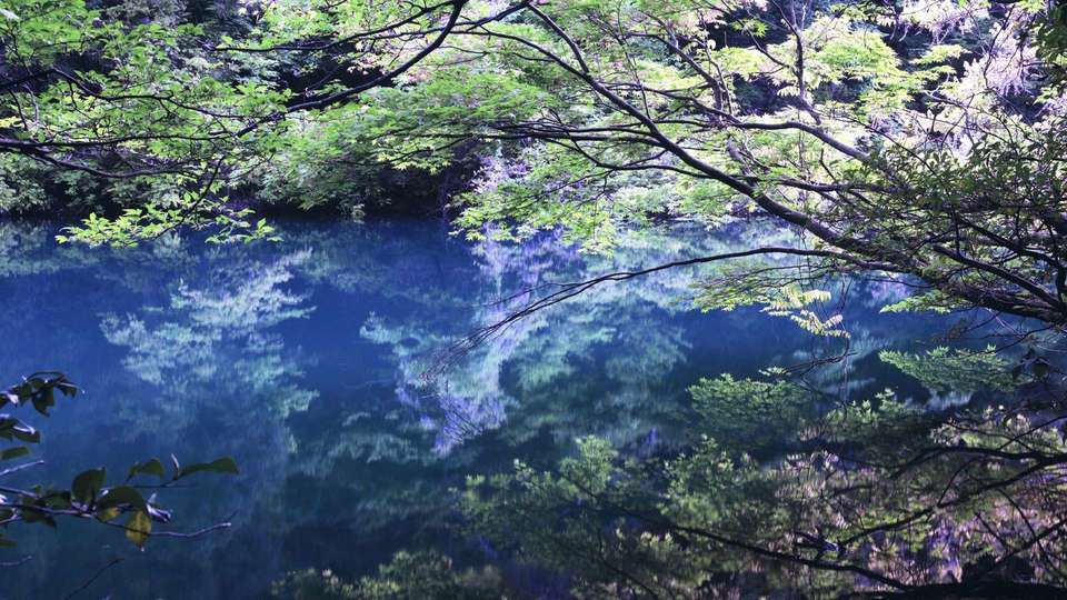 e0403850_19592245.jpg