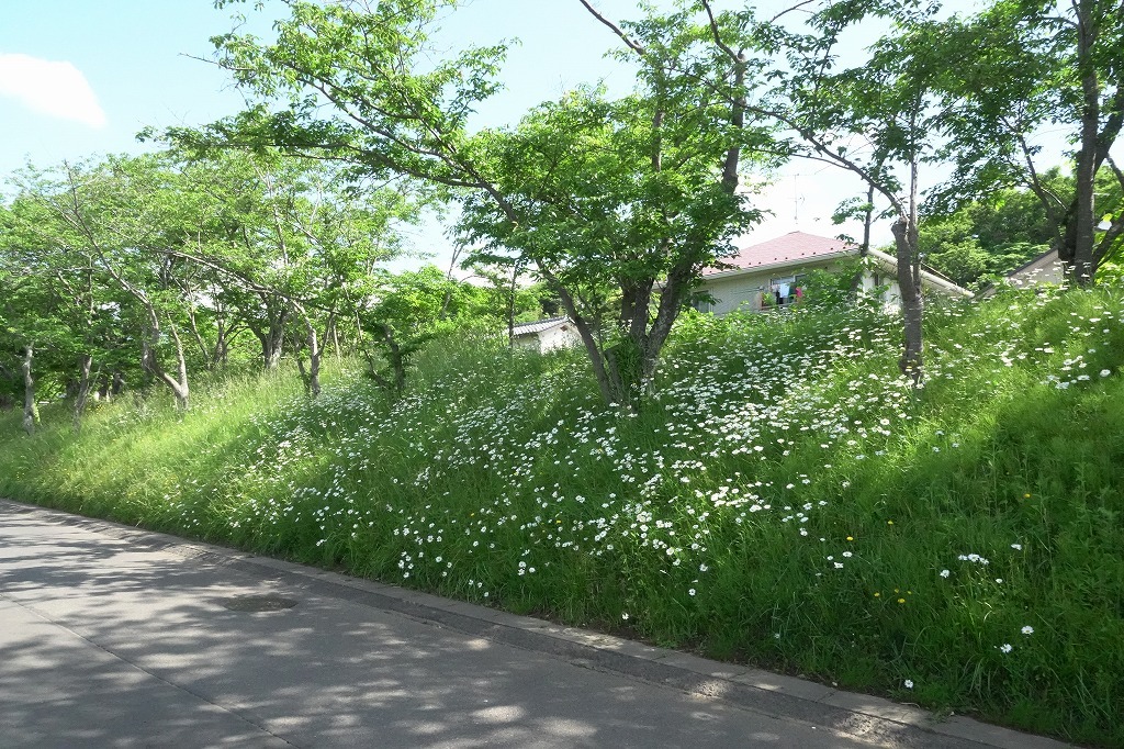 b0236251_13534937.jpg
