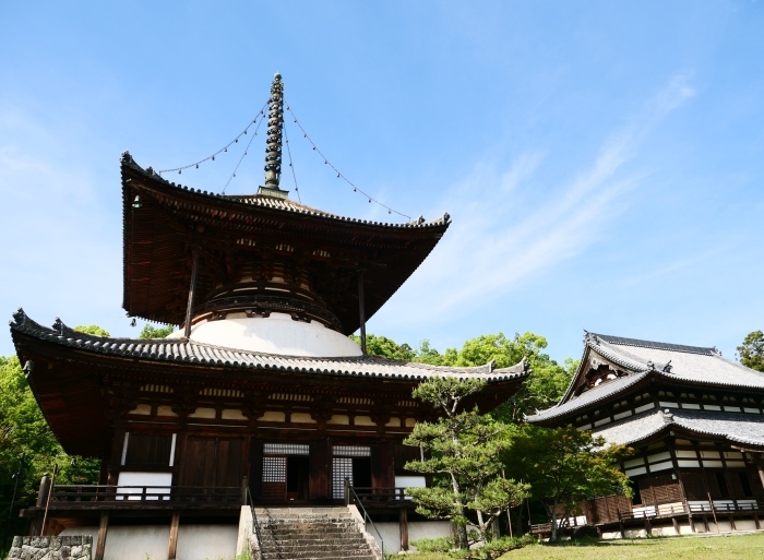 　　５月８日、みどりが美しい根来寺へ行きました。　　２０１９-０５-２４　００：００_b0093754_21282810.jpg