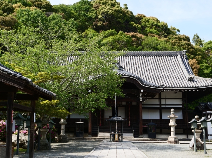 　　５月８日、みどりが美しい根来寺へ行きました。　　２０１９-０５-２４　００：００_b0093754_21293628.jpg