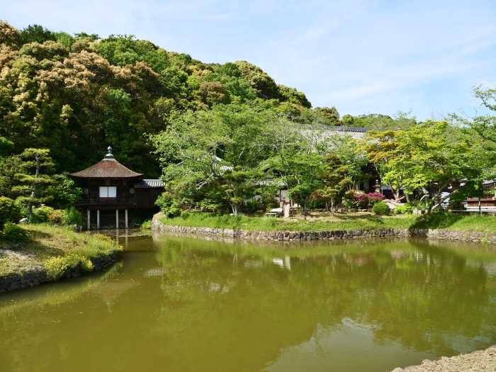 　　５月８日、みどりが美しい根来寺へ行きました。　　２０１９-０５-２４　００：００_b0093754_21300365.jpg