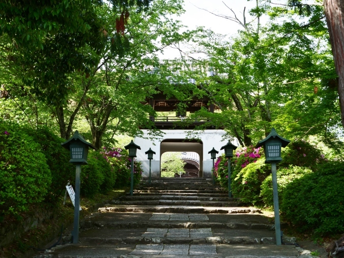 　　５月８日、みどりが美しい根来寺へ行きました。　　２０１９-０５-２４　００：００_b0093754_21303288.jpg