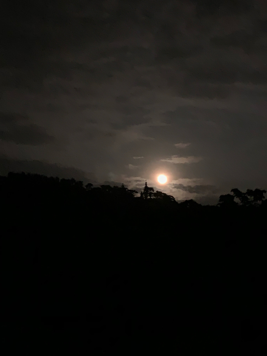 月が綺麗な夜でした もうひとつの海伝説 ゆったり沖縄時間