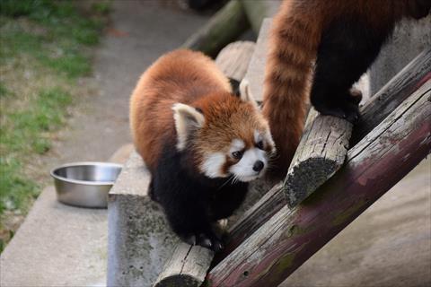 b0338756_08075780.jpg