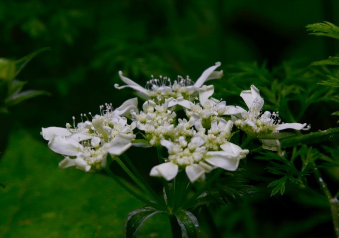 a0248459_14162817.jpg