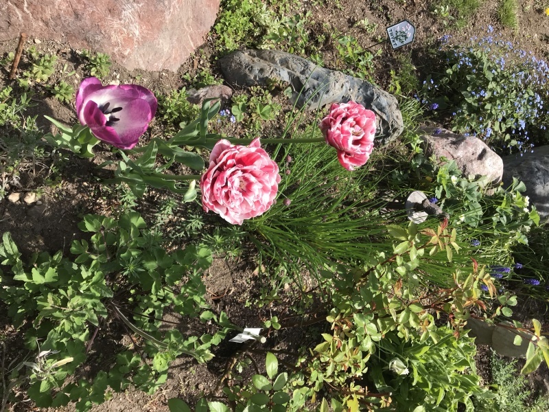 d0320463_08552945.jpeg