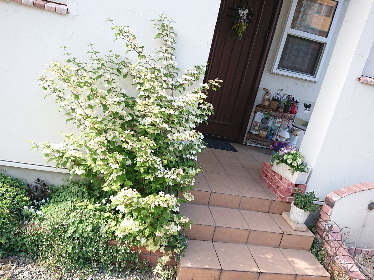 f0201565_19381722.jpg