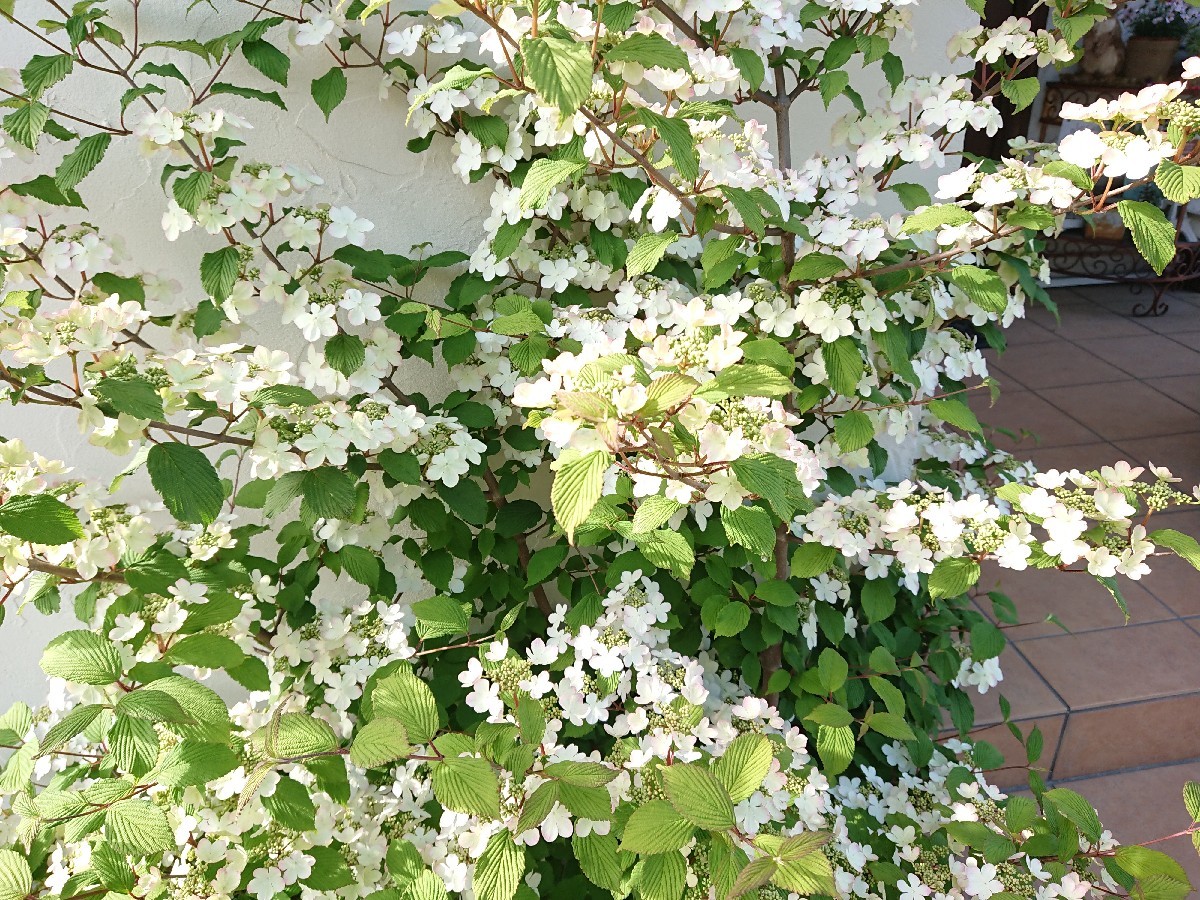 f0201565_19382923.jpg