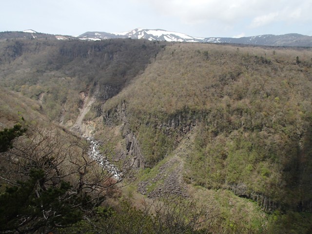 a0344771_18311778.jpg