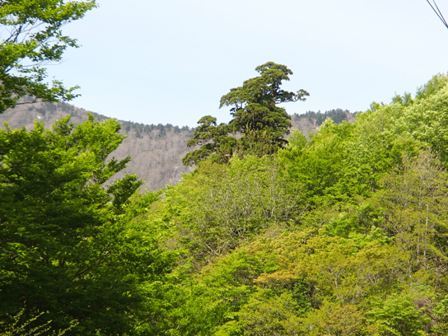 a0344771_18321980.jpg