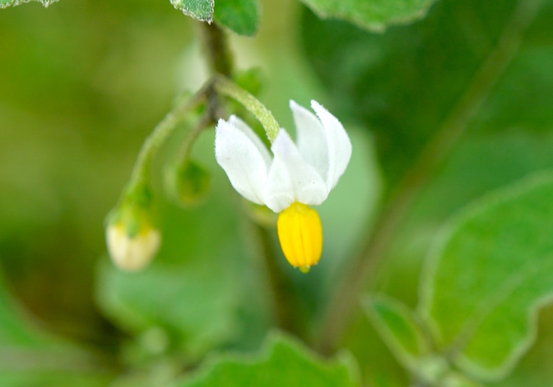 b0057679_09480250.jpg