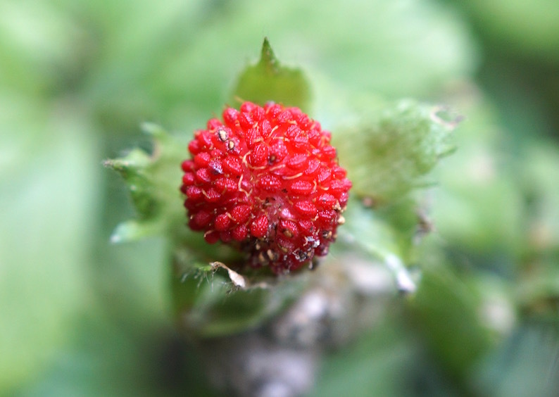 b0057679_09481006.jpg
