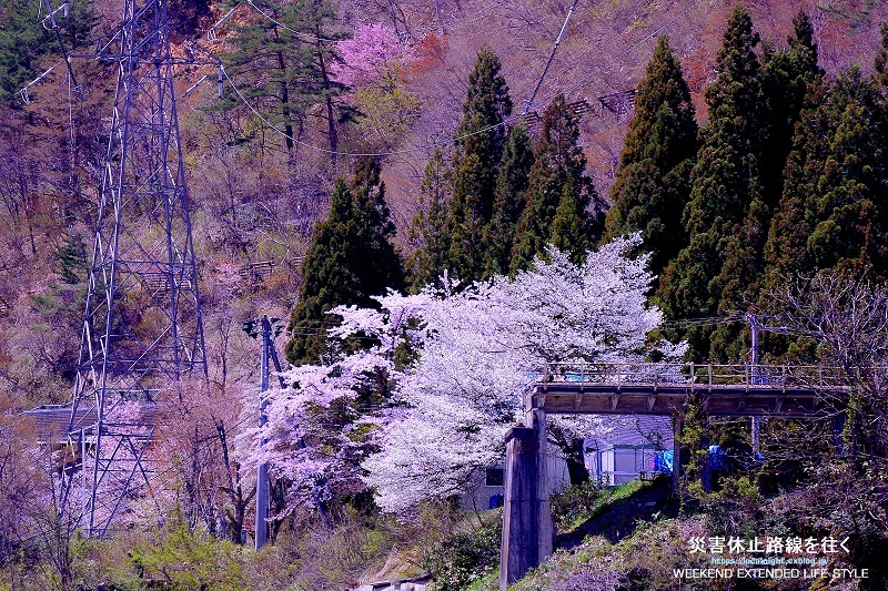 f0345580_21431465.jpg