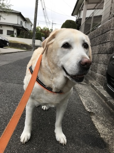 f0315081_18313741.jpeg