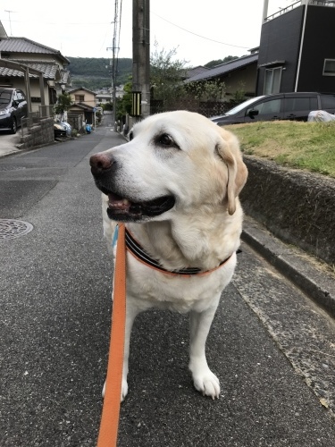 f0315081_18321640.jpeg