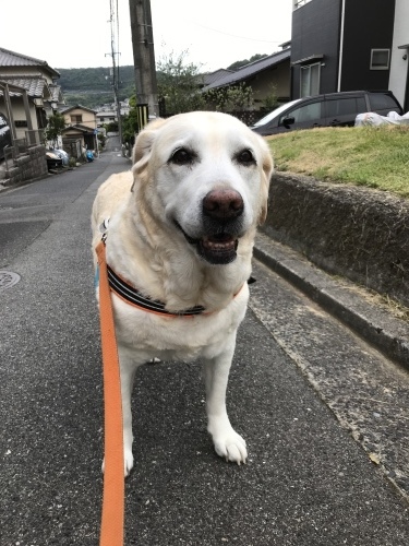 f0315081_18325574.jpeg
