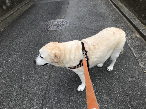 f0315081_18331567.jpeg