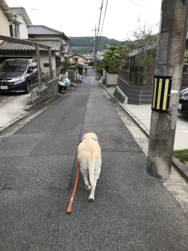f0315081_18333304.jpeg