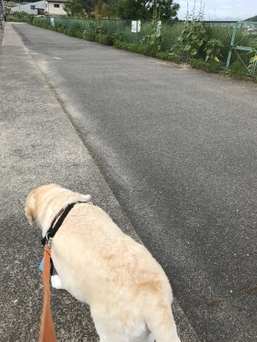 f0315081_18344149.jpeg
