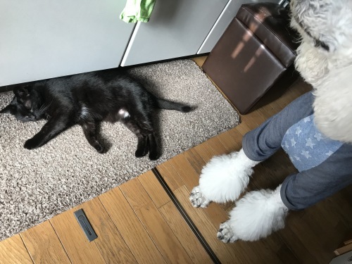 a0216583_23410581.jpeg