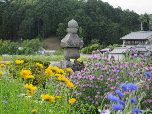 奈良・万葉の旅／明日香の里へ_b0326483_21382696.jpg