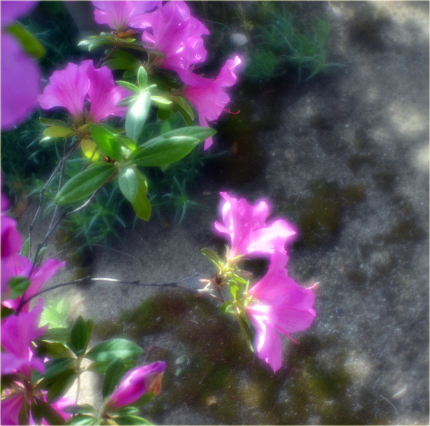 c0229384_21263225.jpg