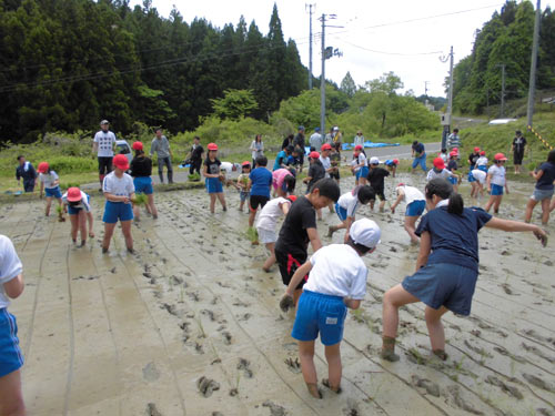 田植え体験(月光原小・西根小)_d0247484_16105770.jpg