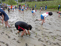 田植え体験(月光原小・西根小)_d0247484_16123512.jpg