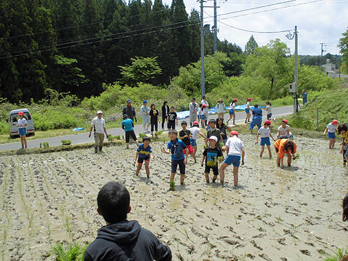 田植え体験(月光原小・西根小)_d0247484_16225025.jpg