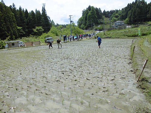 田植え体験(月光原小・西根小)_d0247484_1636142.jpg
