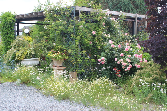 d0154685_20424113.jpg