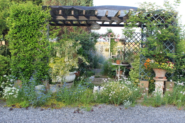 d0154685_20511294.jpg