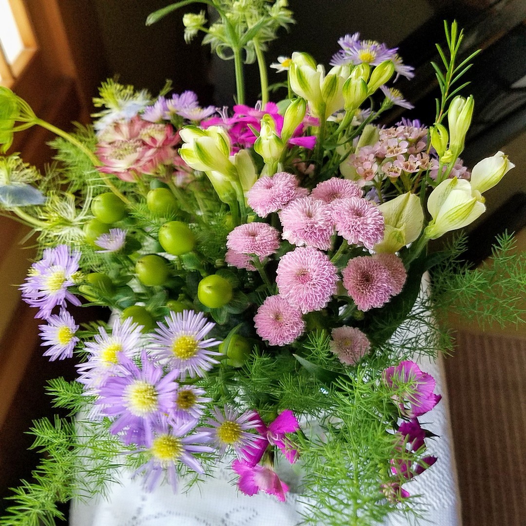 棒アナゴって 知ってる 模索中 棒アナゴって 知ってる 模索中