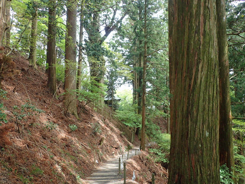 MT-01 OS 38 玉置神社 湯ノ口温泉_a0339187_13434634.jpg